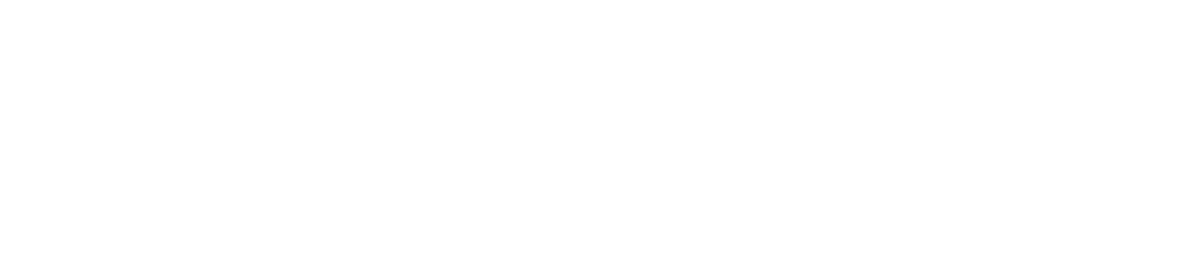 logo rivera bus